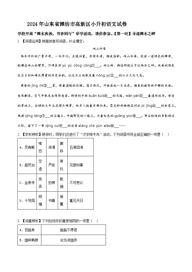 山东省潍坊市高新区2024年统编版小升初考试语文试卷（原卷版+解析版）01