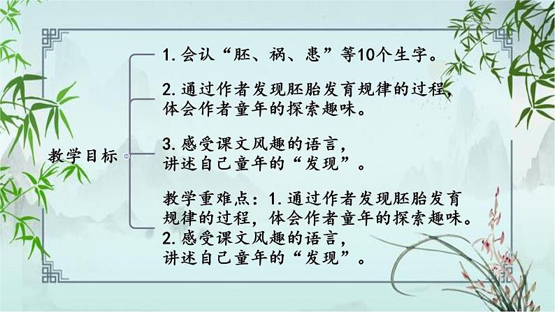 23 童年的发现 课件 人教部编版小学语文五年级下册第3页