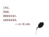 1 小蝌蚪找妈妈 课件 小学语文人教部编版二年级上册