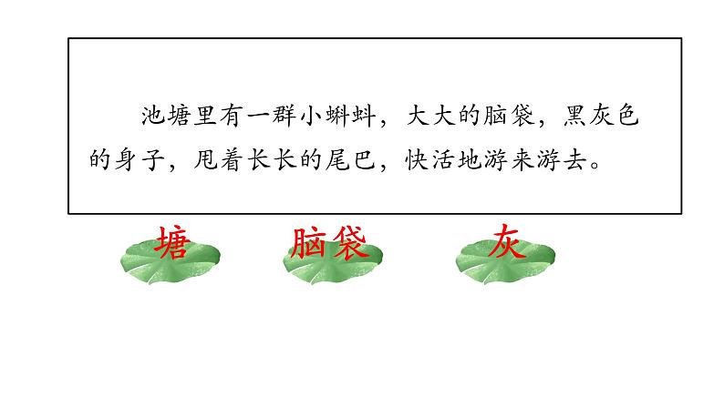 1 小蝌蚪找妈妈 课件 小学语文人教部编版二年级上册07