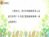3 植物妈妈有办法 课件 小学语文人教部编版二年级上册