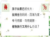 3 植物妈妈有办法 课件 小学语文人教部编版二年级上册