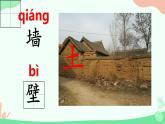 20 小壁虎借尾巴 课件 小学语文人教部编版一年级下册