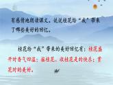 3 桂花雨 课件 小学语文人教部编版五年级上册