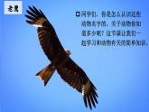 识字3  《拍手歌》（课件）2024-2025学年统编版语文二年级上册