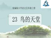 23 鸟的天堂 课件 小学语文人教部编版五年级上册