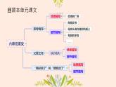 习作：我想对您说 课件 小学语文人教部编版五年级上册