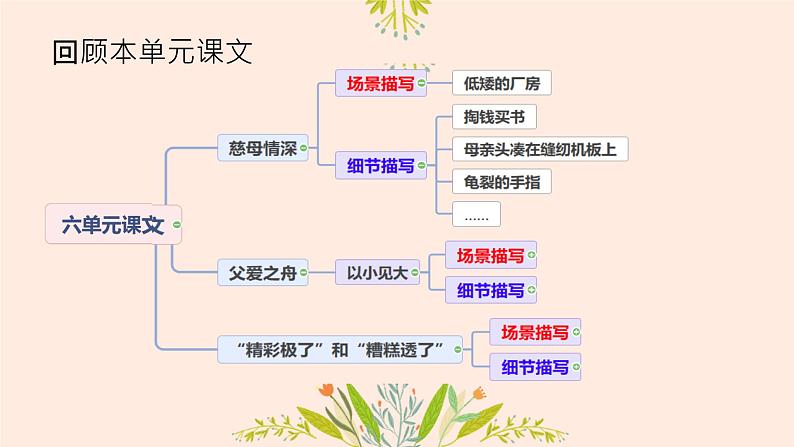 习作：我想对您说 课件 小学语文人教部编版五年级上册02