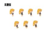 小学语文新部编版一年级上册第一单元第3课《口耳目手足》第2课时教学课件（2024秋）