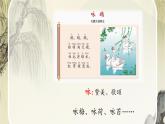1古诗二首 咏柳  课件-2023-2024学年语文二年级下册部编版