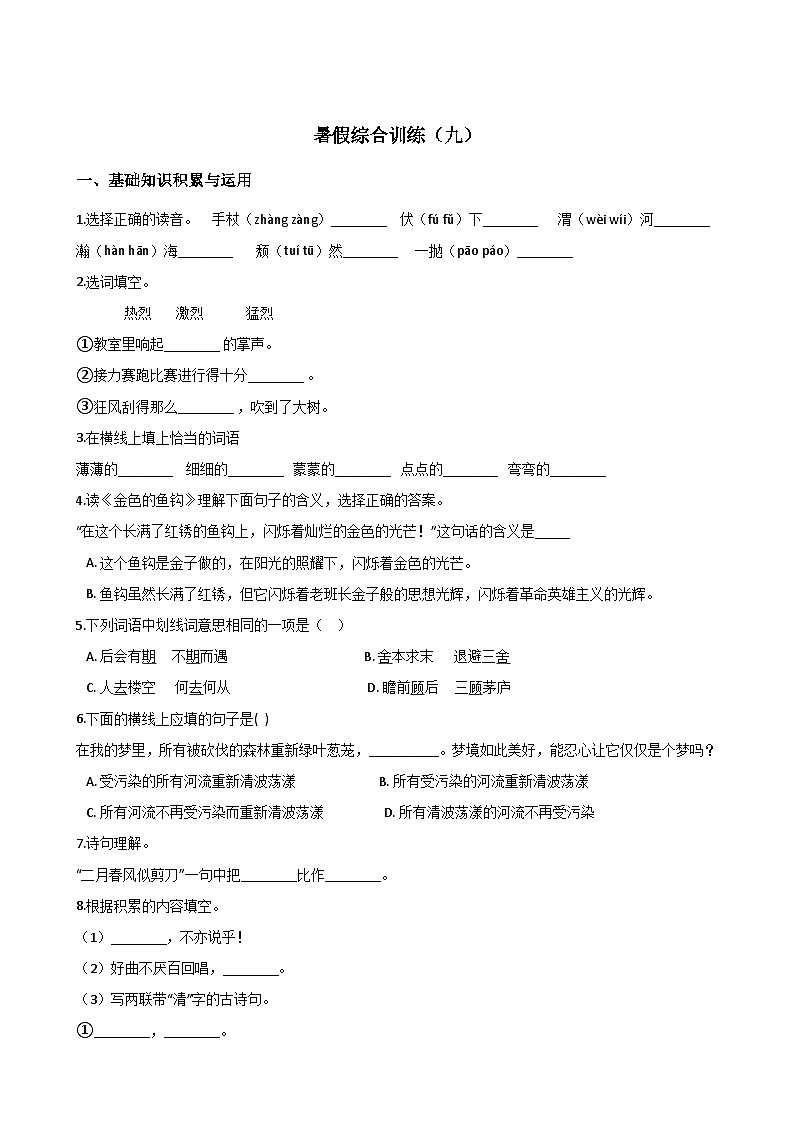 五年级下册语文试题--暑假综合训练（九） 人教新课标 含答案01