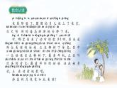人教版语文一年级上册 汉语拼音12《ie ue er》 PPT课件