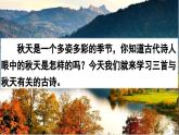 4《古诗三首》（课件）2024-2025学年统编版语文三年级上册