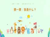 口语交际：有趣的动物 课件 小学语文人教部编版二年级上册