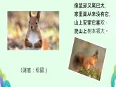 口语交际：有趣的动物 课件 小学语文人教部编版二年级上册
