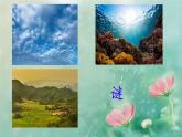 2 我是什么  课件 2024-2025学年统编版语文二年级上册