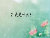 2 我是什么  课件 2024-2025学年统编版语文二年级上册