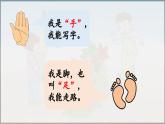 部編版（2024）一年級語文上冊識字3《口耳目手足》優(yōu)質(zhì)課件