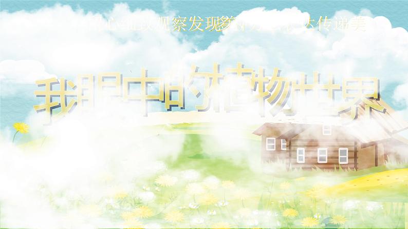 【核心素养-任务群】部编版语文三上 16《金色的草地》课件+教案+音视频素材+课文朗读03