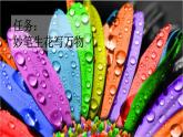 【核心素养-任务群】部编版语文三上 《习作五：我们眼中的缤纷世界》课件+教案+音视频素材+课文朗读