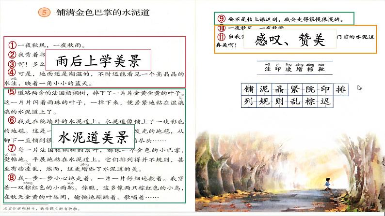 部编版语文三上 5《铺满金色巴掌的水泥道》课件PPT+练习（含答案）03