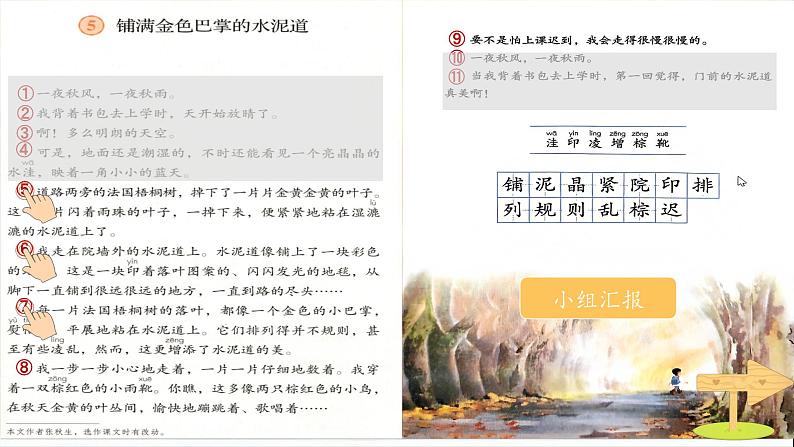 部编版语文三上 5《铺满金色巴掌的水泥道》课件PPT+练习（含答案）07