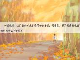 部编版语文三上 6《秋天的雨》课件PPT+练习（含答案）