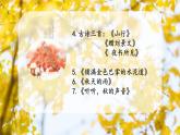 部编版语文三上 《语文园地二》课件PPT+练习（含答案）