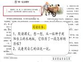 部编版语文三上 9《那一定会很好》课件PPT+练习（含答案）