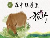 部编版语文三上 10《在牛肚子里旅行》课件PPT+练习（含答案）