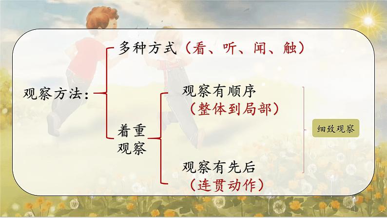 部编版语文三上 16《金色的草地》课件PPT+练习（含答案）02