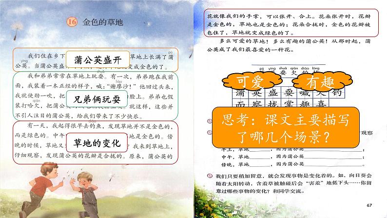 部编版语文三上 16《金色的草地》课件PPT+练习（含答案）07