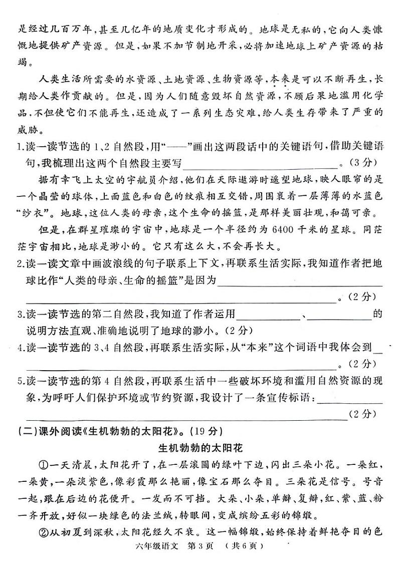 河南省驻马店市确山县城区2022-2023学年六年级上学期期末语文试卷03