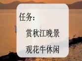 部编版小学语文四年级上册3现代诗二首  课件+教案