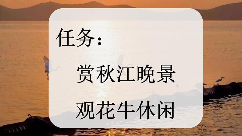 部编版小学语文四年级上册3现代诗二首  课件+教案02