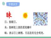 部编版小学语文四年级上册4繁星 课件+教案