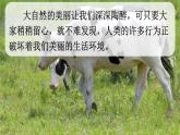部编版小学语文四年级上册 第1单元 口语交际：我们与环境  课件+教案