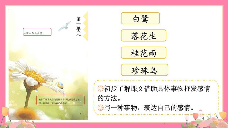 【核心素养】部编版小学语文五年级上册 1 白鹭 课件+教案（含教学反思） +素材04