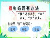 五四制语文二年级上册 第1单元 3  植物妈妈有办法 PPT课件+教案+练习