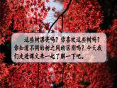五四制語文二年級上冊 第2單元 識字2 樹之歌 PPT課件+教案+練習(xí)