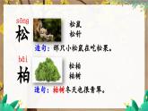 五四制語文二年級上冊 第2單元 識字2 樹之歌 PPT課件+教案+練習(xí)