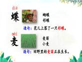 五四制語文二年級上冊 第2單元 識字4 田家四季歌 PPT課件+教案+練習(xí)