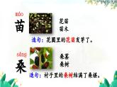 五四制語文二年級上冊 第2單元 識字4 田家四季歌 PPT課件+教案+練習(xí)
