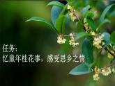 【核心素养】部编版小学语文五年级上册 3 桂花雨 课件+教案（含教学反思） +素材