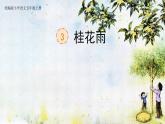 【核心素養(yǎng)】部編版語文五上 3《桂花雨》課件+教案+課文朗讀