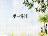 【核心素養(yǎng)】部編版語文五上 3《桂花雨》課件+教案+課文朗讀