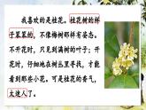 【核心素養(yǎng)】部編版語文五上 3《桂花雨》課件+教案+課文朗讀