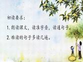【核心素養(yǎng)】部編版語文五上 3《桂花雨》課件+教案+課文朗讀