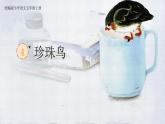 【核心素养】部编版语文五上 4《珍珠鸟》课件+教案+课文朗读