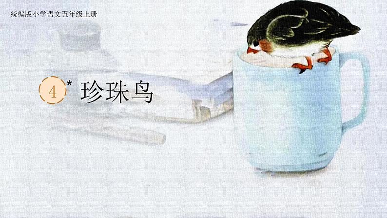 【核心素养】部编版语文五上 4《珍珠鸟》课件+教案+课文朗读01
